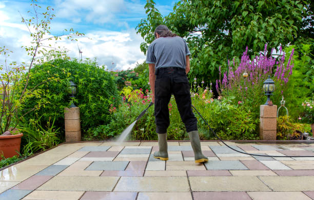Animal Enclosure Cleaning in Deridder, LA